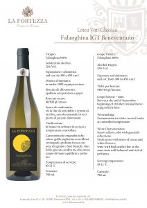 Falanghina IGT Beneventano